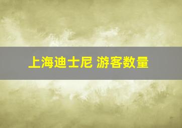 上海迪士尼 游客数量